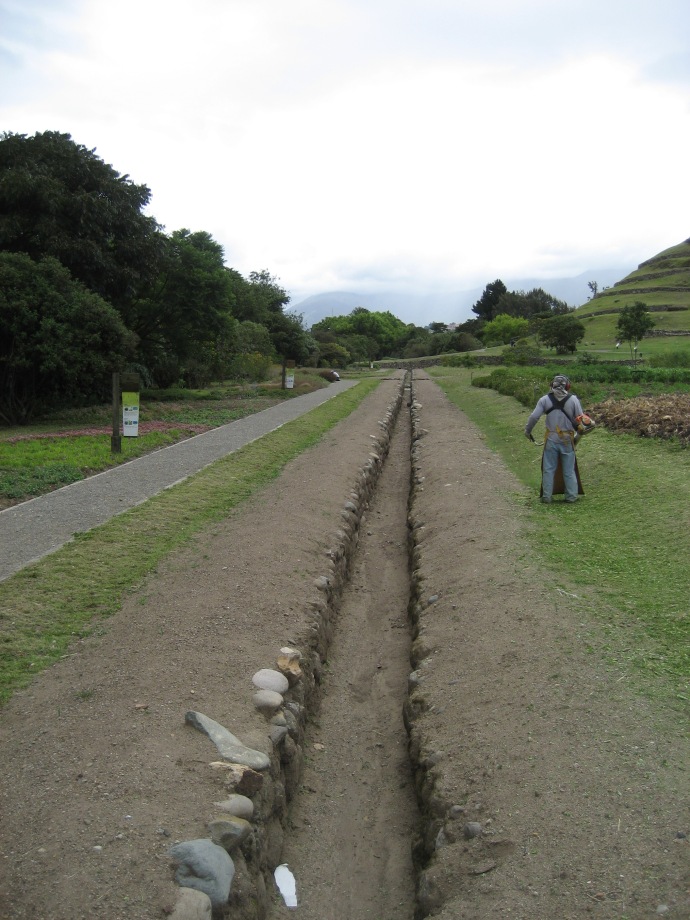 The 800 meter canal at Pumapungo, with a weed-whacker going in the background.